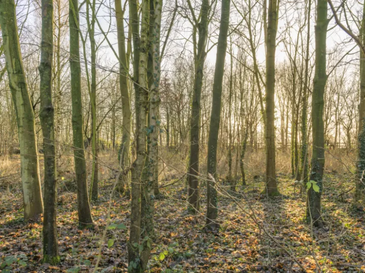 20240106-142212-Enhanced-Nr