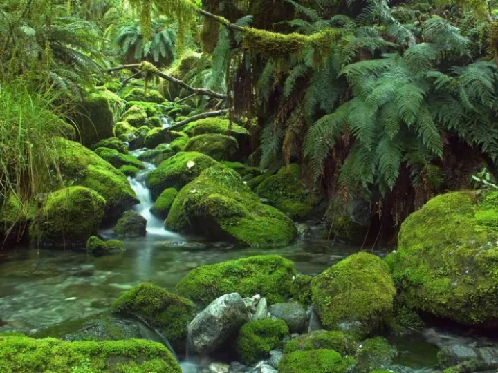 Nz-Ff574d1c30ab43fb81c37df8c6b25813