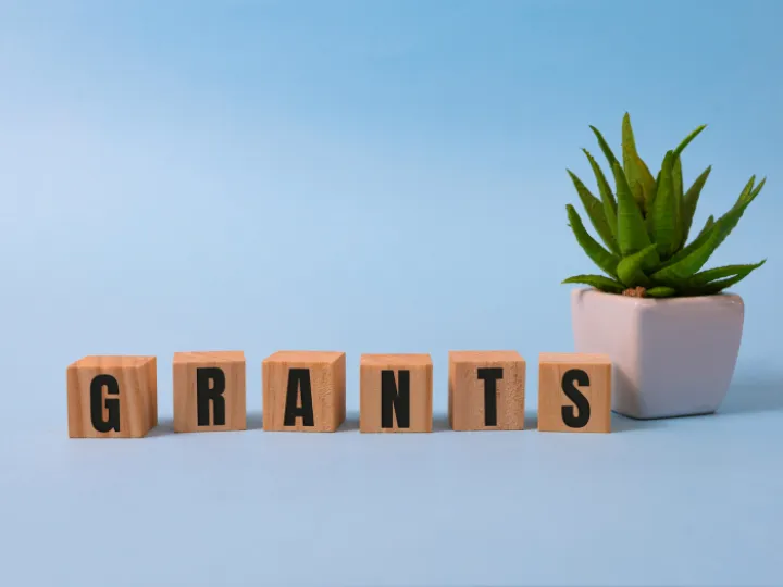 Government Grants