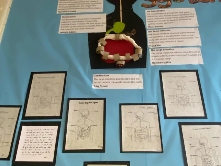 Tps Ad Exhib 2024 Photo-2024-03-04-18-06-34[1]