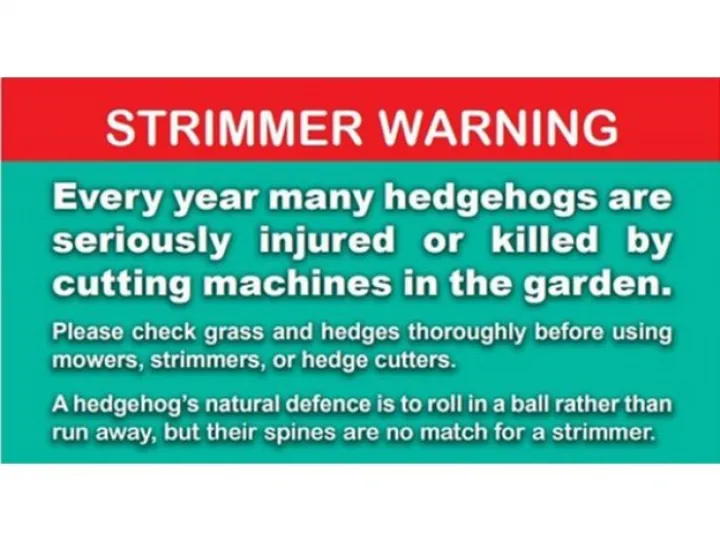British Hedgehog Preservation Society &ndash; Strimmer