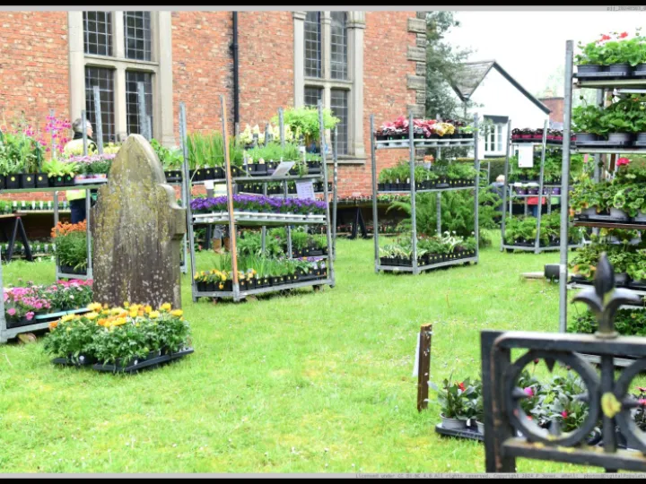 Pjj_20240503_093908_01