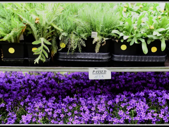 Pjj_20240503_095850_01