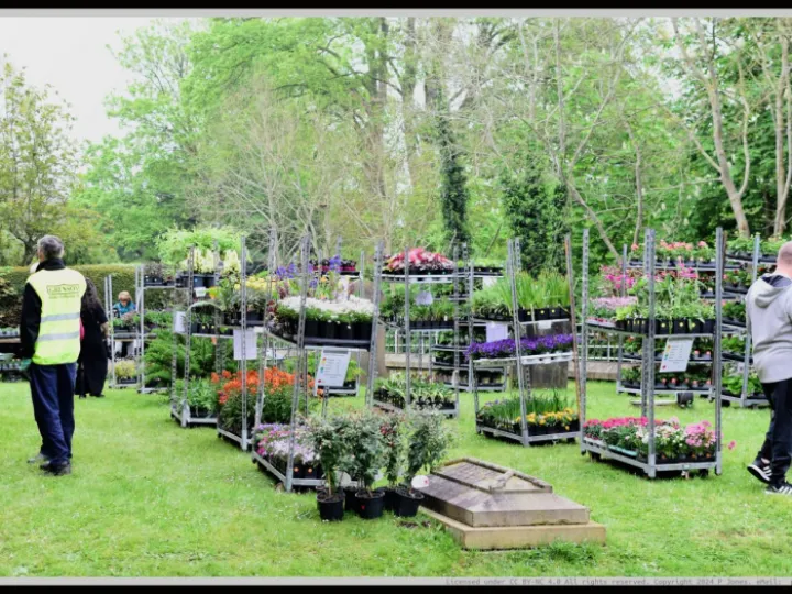 Pjj_20240503_095745_01