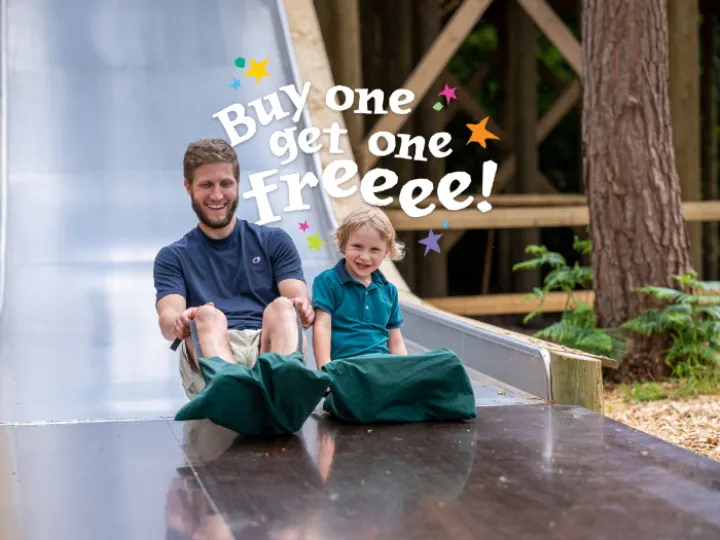 Father's Day at Bewilderwood