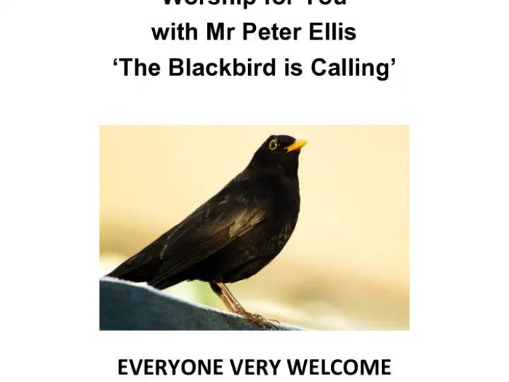 Woodlands Wfy Peter Ellis