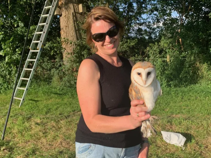 2024 Barn Owl Chicks