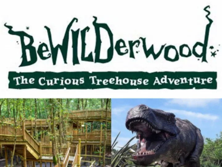 Bewilderwood Perk + Logo 2024