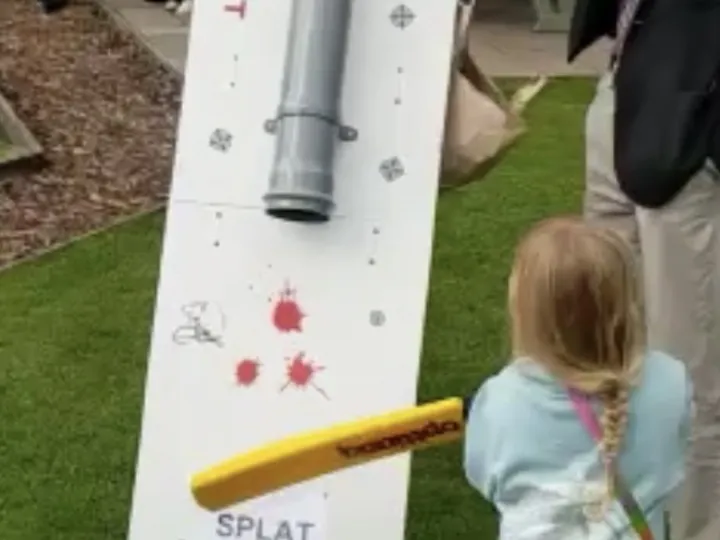 Fun Day Photo Splat The Rat