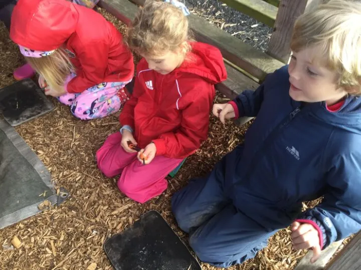 Forest School 2024d