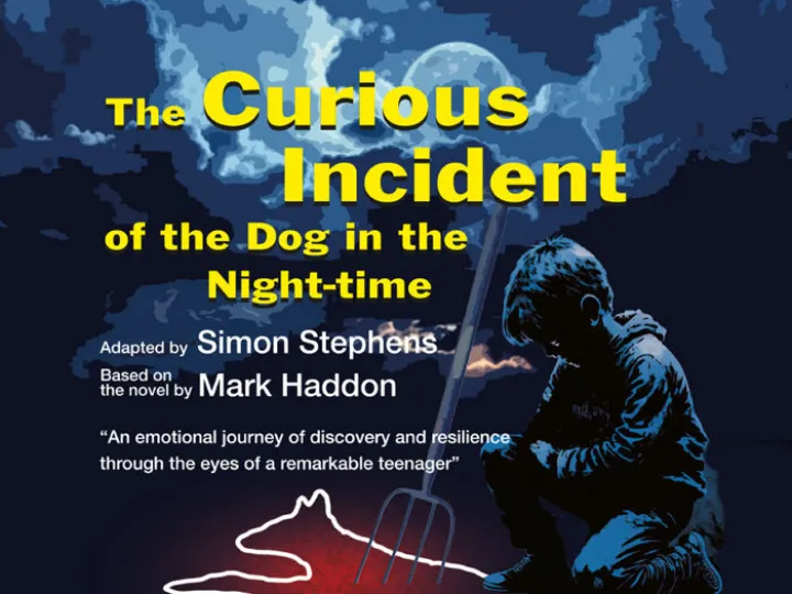 The Curious Incident of The Dog in The Night-Time