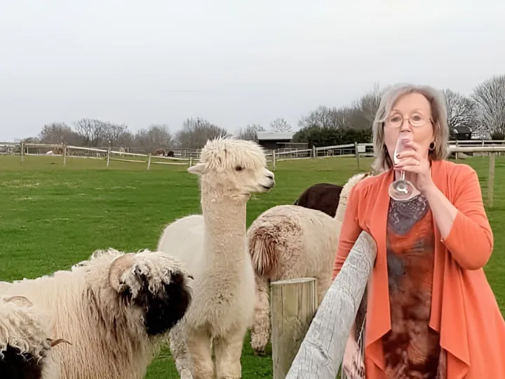 Alpaca Birthday Party 1