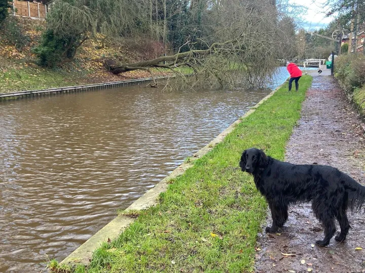 15fbf870-54ff-4768-Acbd-9b70085a59c9