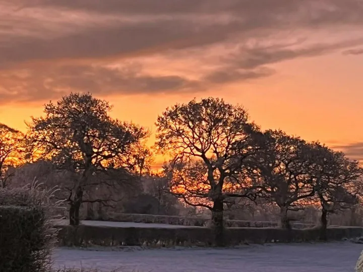 Hatton Sunrise From Fiona Burton