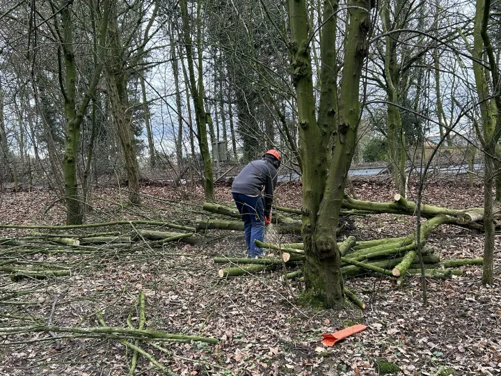 421042927_401581442331071_6453239633386030945_n