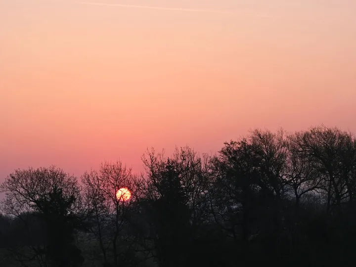 RR by Dawn's Early Light F7038