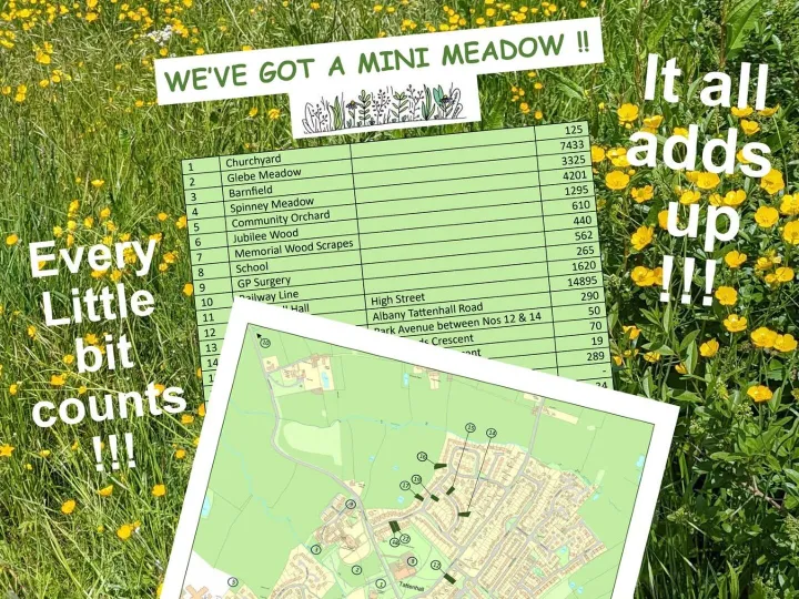 Mini Meadows Project