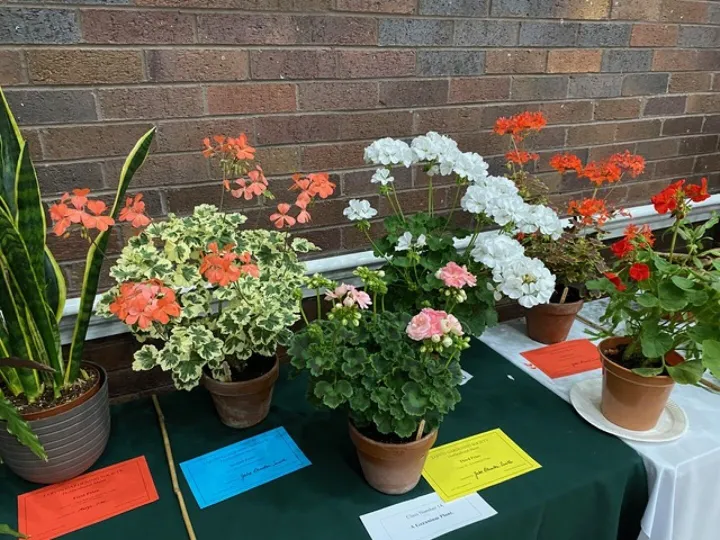More Flower Exhibits