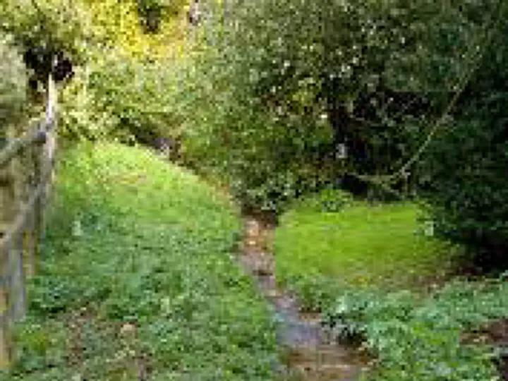 Stream Through Garden