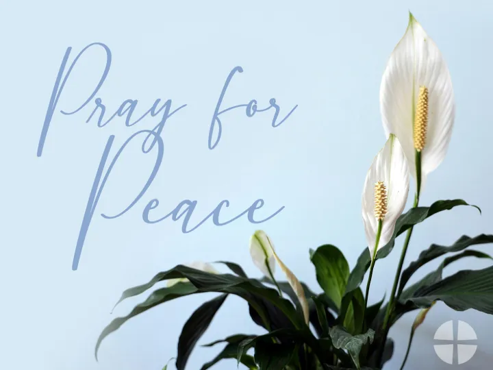 Pray For Peace