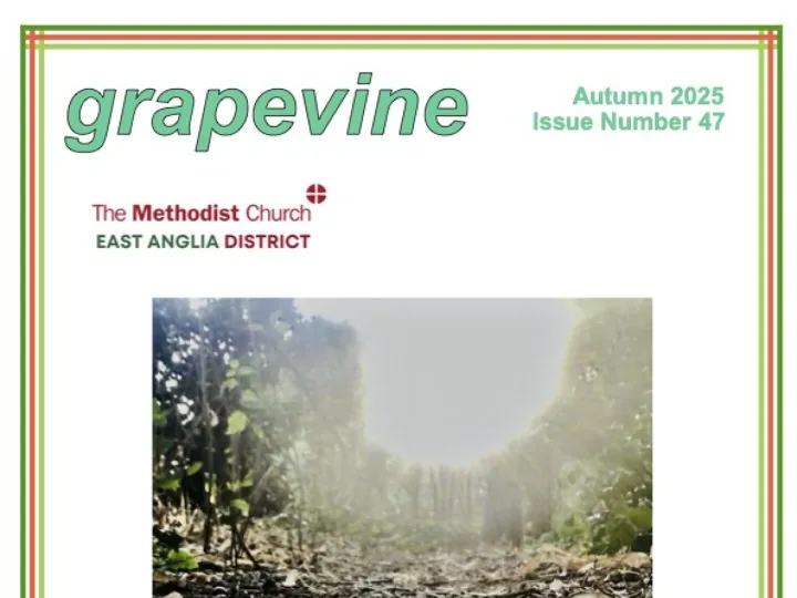 Grapevine Autumn 2025