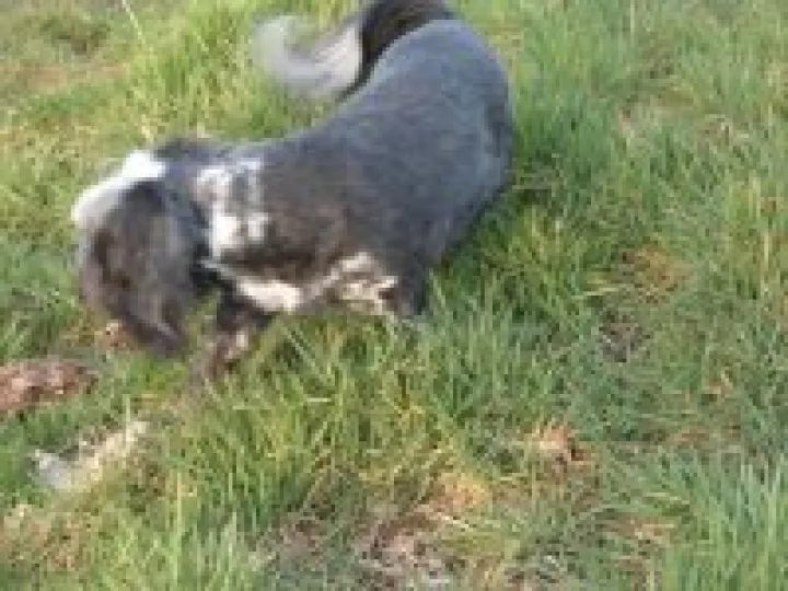 Pheasant Inn walk 2015