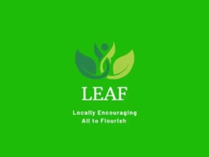 Leaf