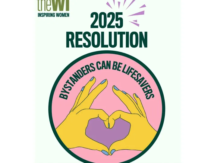 Wi 2025 Resolution